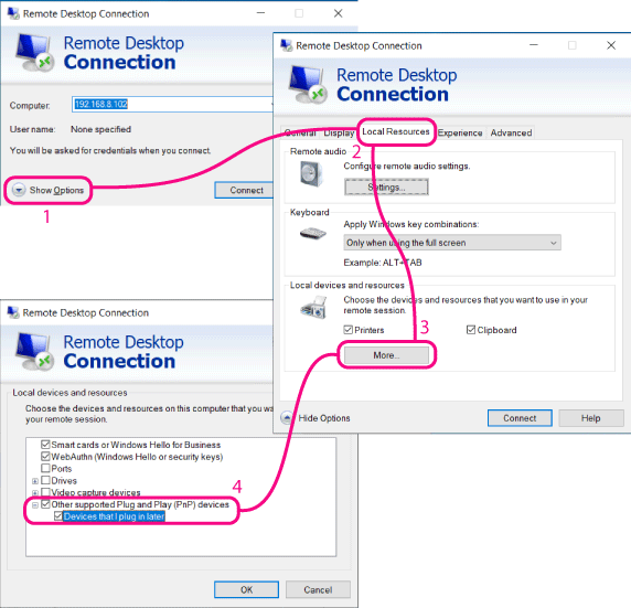 local devices and resources remote desktop connection
